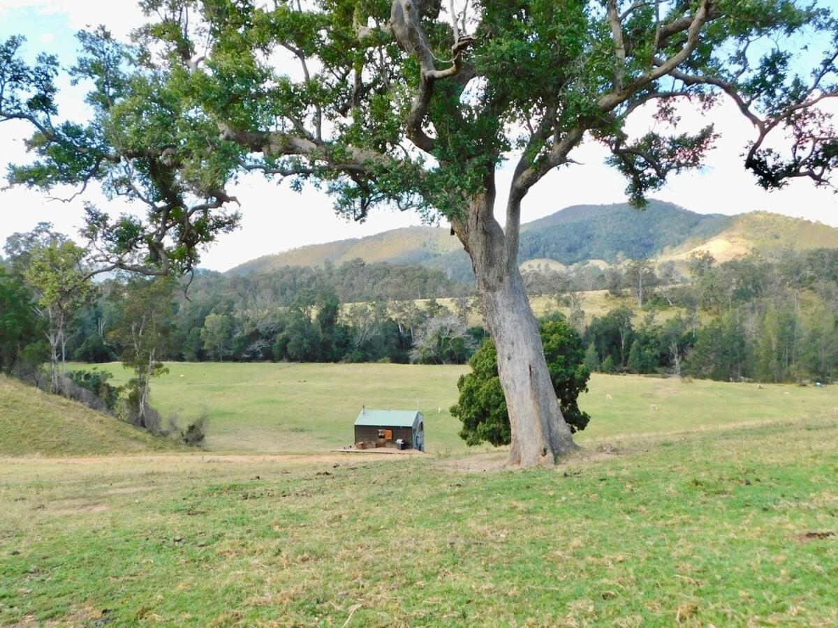 Avalon River Retreat - 400 Acre Off The Grid Riverside Nature & Platypus Oasis Ellenborough Bagian luar foto